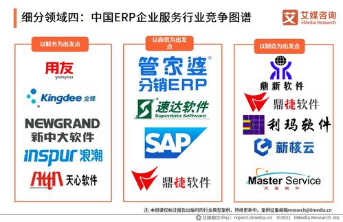 2021上半年中国企业服务专题研究报告 信息咨询服务发展分析